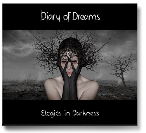 Cover Elegies in Darkness