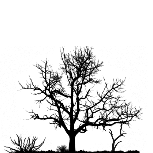 sprachwahl_001