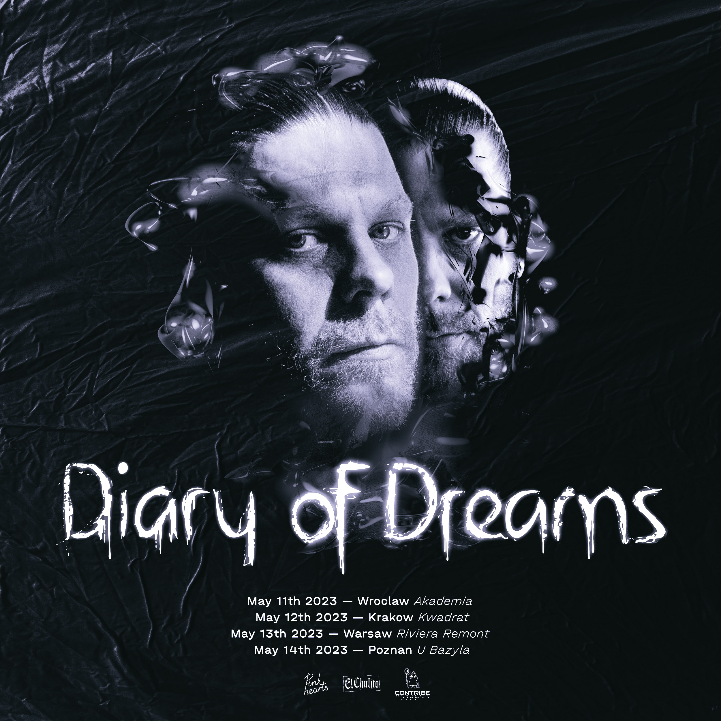 tour diary of dreams